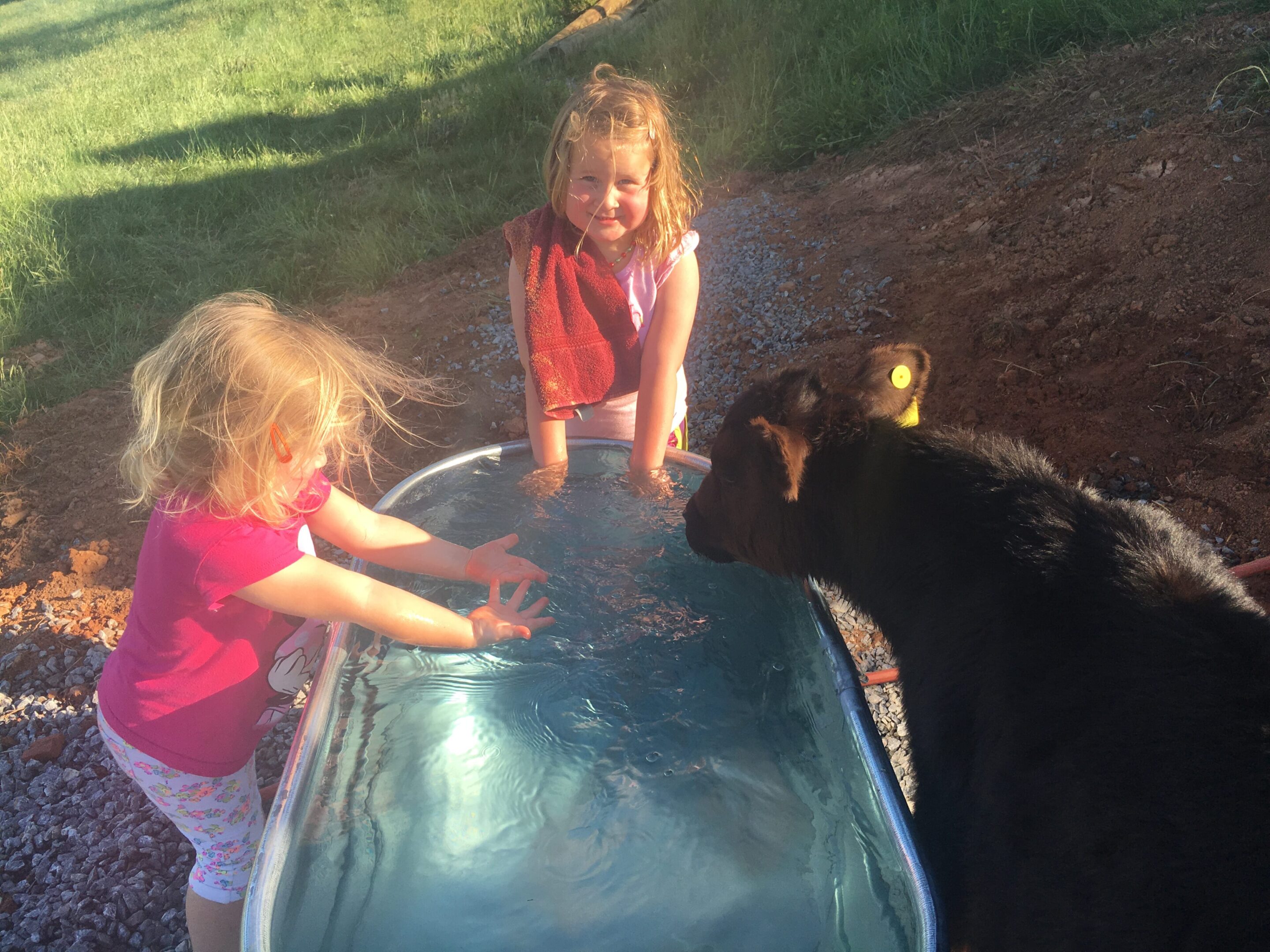 Two little girls playing with a black bear.