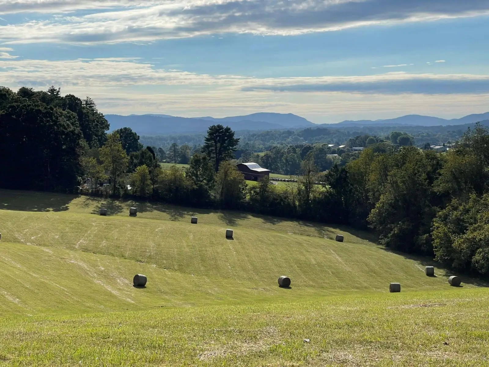 A field with many hay bales in the middle of it